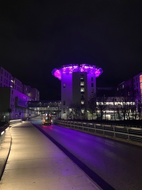 Heli plattform St.Olavs