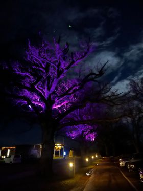 Midgarden Vikingsenter i Horten 2