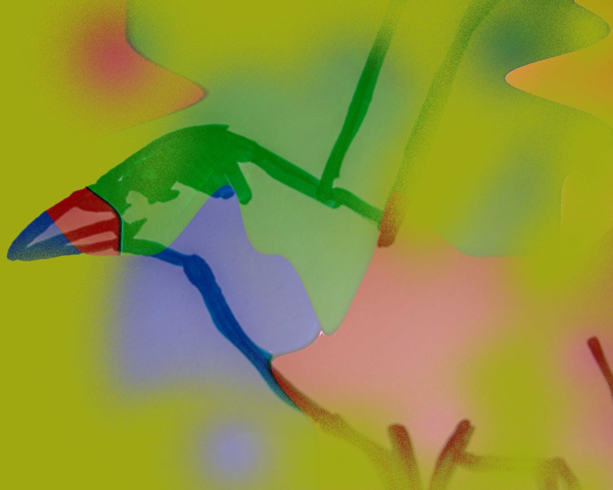 Vakker fuglesang – uten  fuglesang intet liv