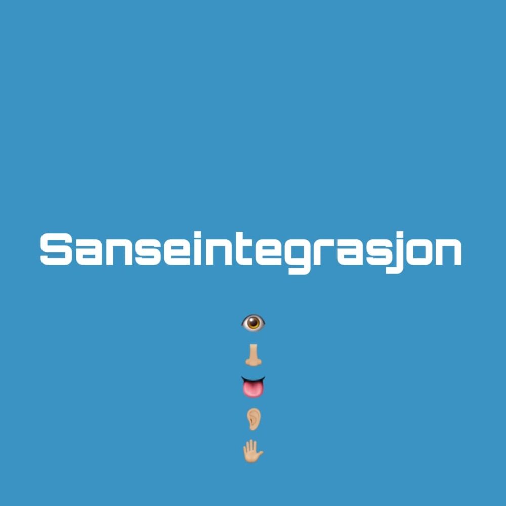 Sanseintegrasjon